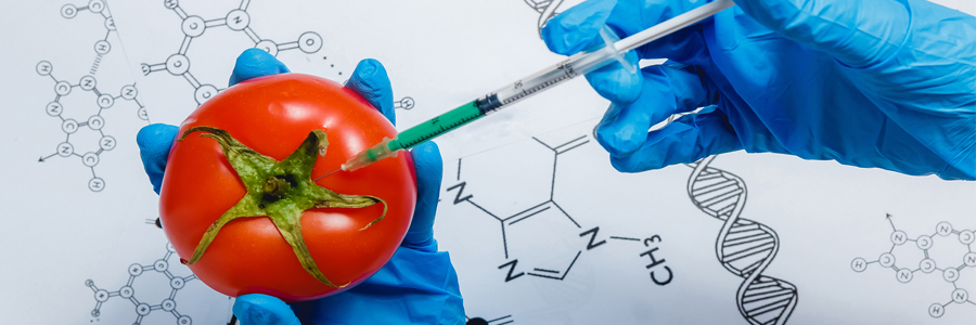 Tecnología-de-los-alimentos-III